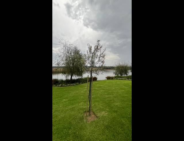 600M² VACANT LAND FOR SALE IN ROBERTS ESTATE